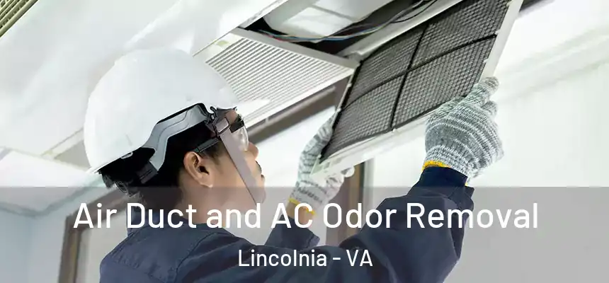 Air Duct and AC Odor Removal Lincolnia - VA