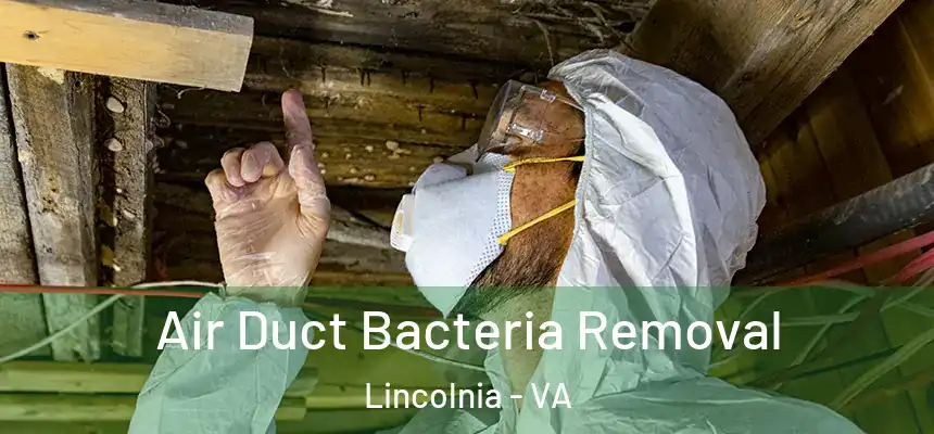 Air Duct Bacteria Removal Lincolnia - VA