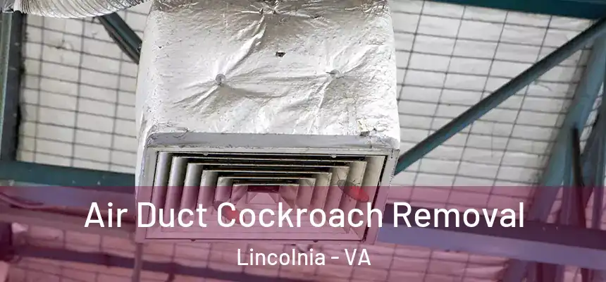 Air Duct Cockroach Removal Lincolnia - VA