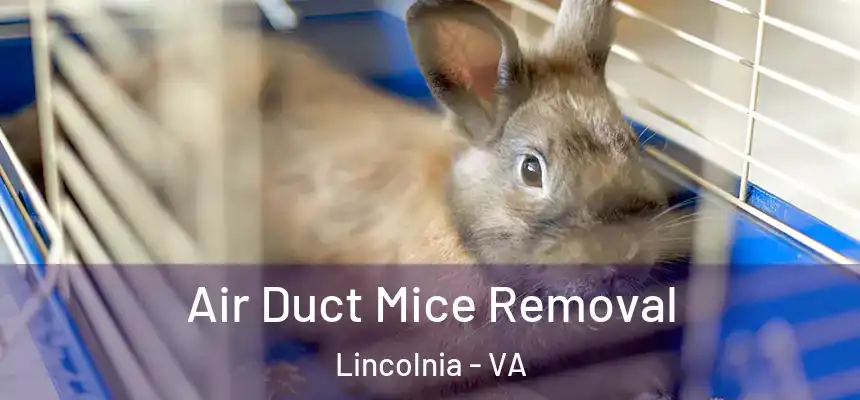 Air Duct Mice Removal Lincolnia - VA