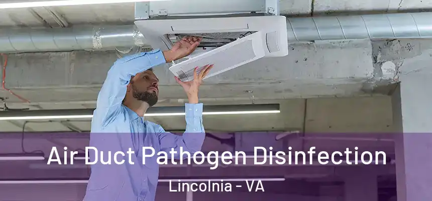 Air Duct Pathogen Disinfection Lincolnia - VA