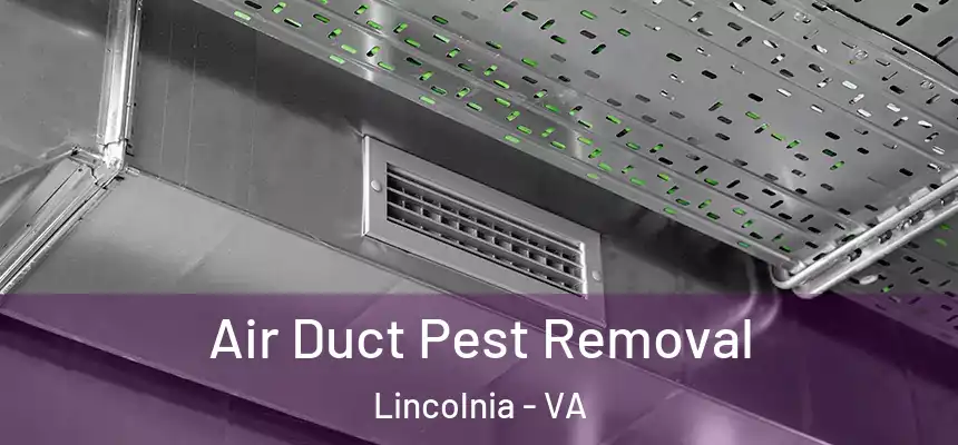 Air Duct Pest Removal Lincolnia - VA