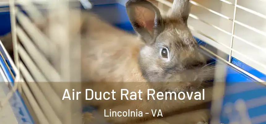 Air Duct Rat Removal Lincolnia - VA