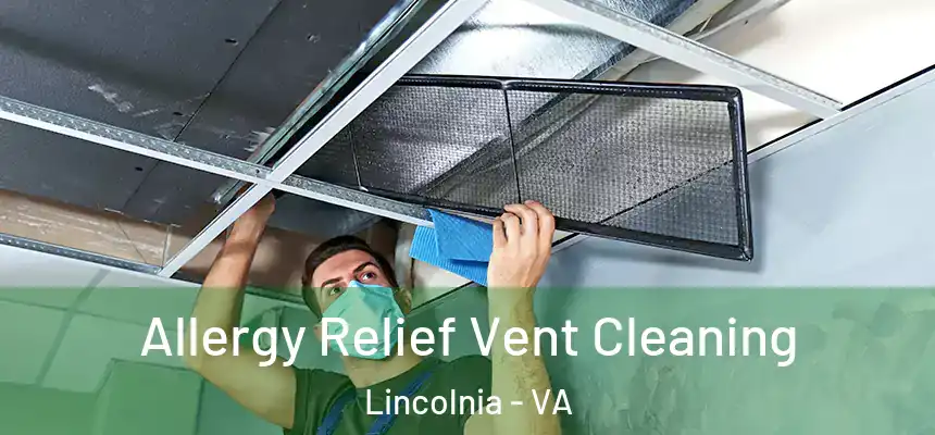 Allergy Relief Vent Cleaning Lincolnia - VA