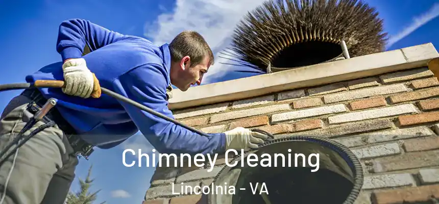  Chimney Cleaning Lincolnia - VA