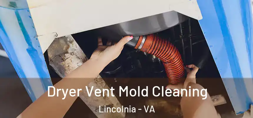 Dryer Vent Mold Cleaning Lincolnia - VA