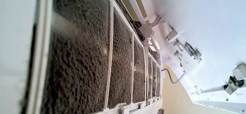 Preventive Air Duct Bacteria Removal in Lincolnia