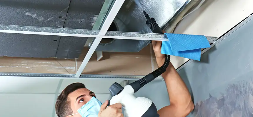Our Air Duct Rodent Removal Services in Lincolnia, VA
