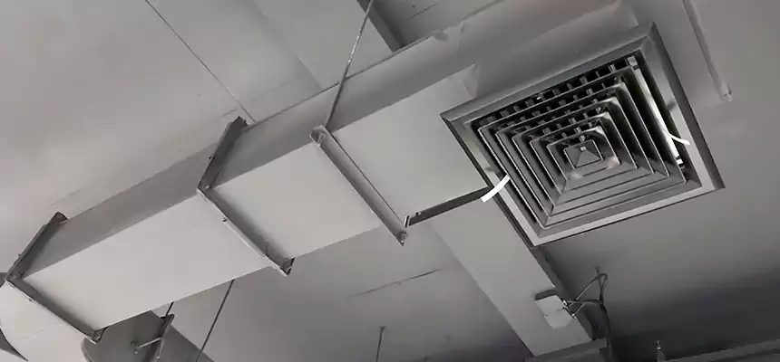 Restorative Allergy Relief Vent Cleaning – Coil, Blower & Housing Detail in Lincolnia