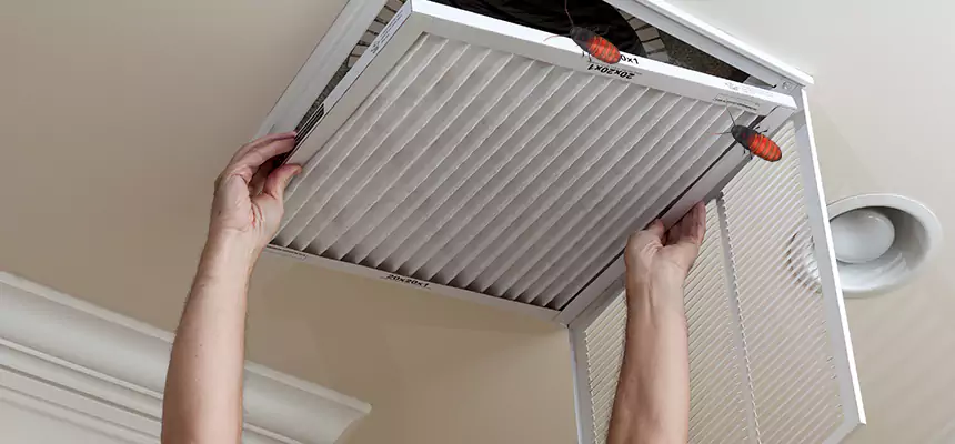 Our Insect Removal from Air Ducts Services in Lincolnia, VA