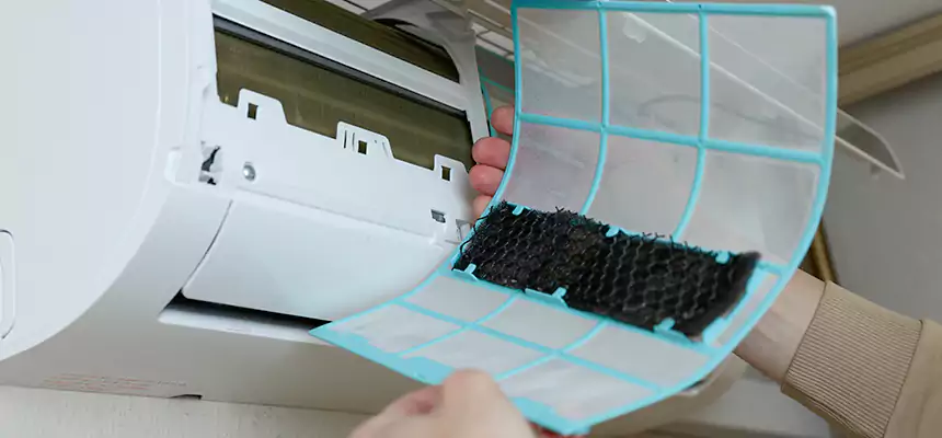 Gentle Ductwork Odor-Control Pet Dander Duct Cleaning in Lincolnia, VA