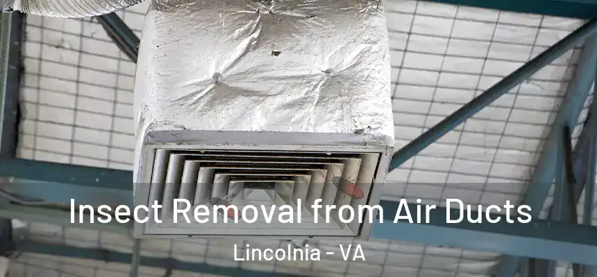 Insect Removal from Air Ducts Lincolnia - VA