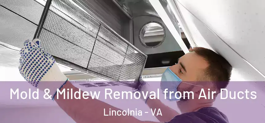 Mold & Mildew Removal from Air Ducts Lincolnia - VA