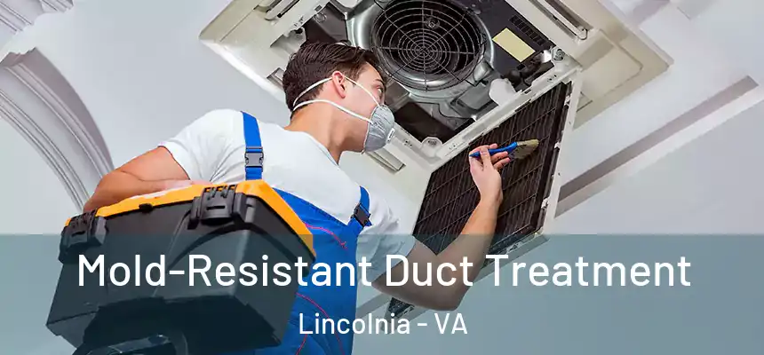 Mold-Resistant Duct Treatment Lincolnia - VA