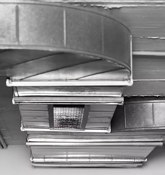 Professional Air Duct Pest Removal in Lincolnia, VA