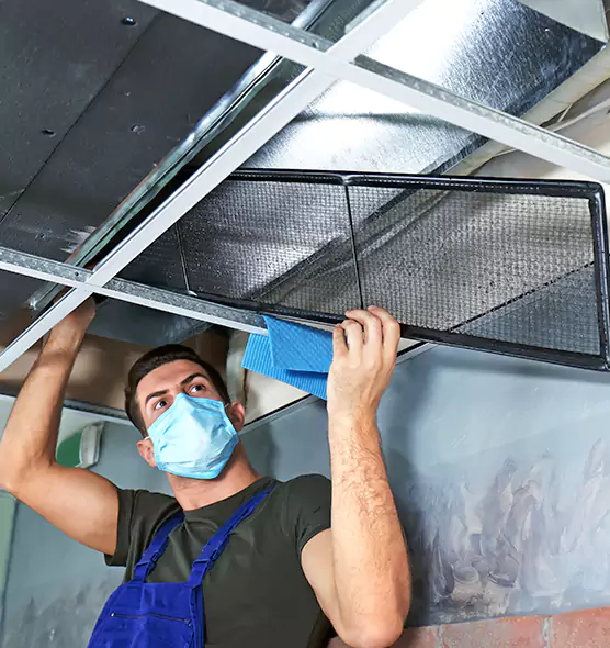 Professional Air Duct Pollen Cleaning in Lincolnia, VA