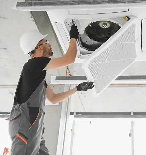 About Air Duct Rodent Removal in Lincolnia, VA