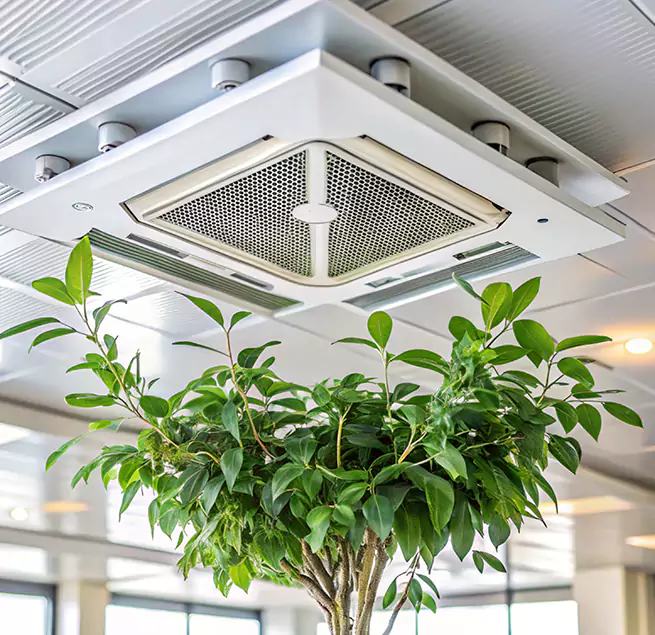 Why Homeowners & Businesses Trust Us in Lincolnia, VA