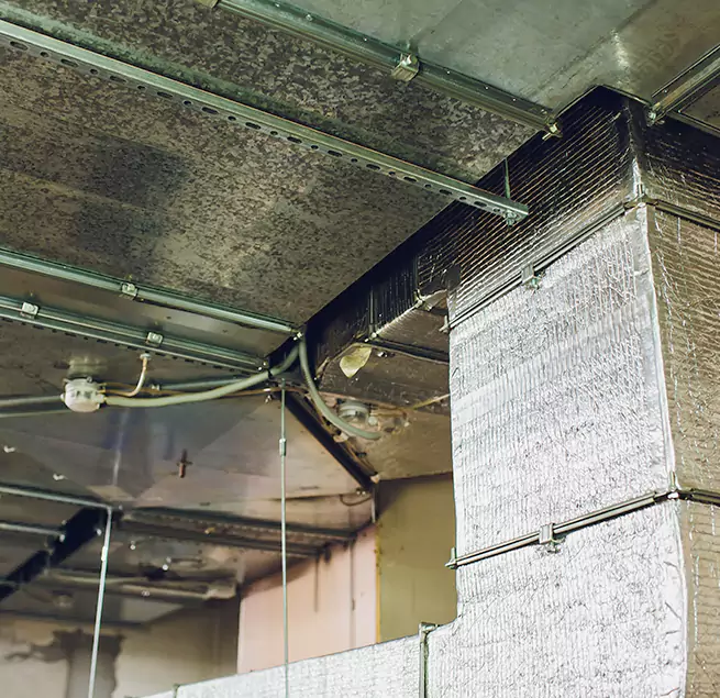 Why Homeowners & Businesses Trust Us in Lincolnia, VA?