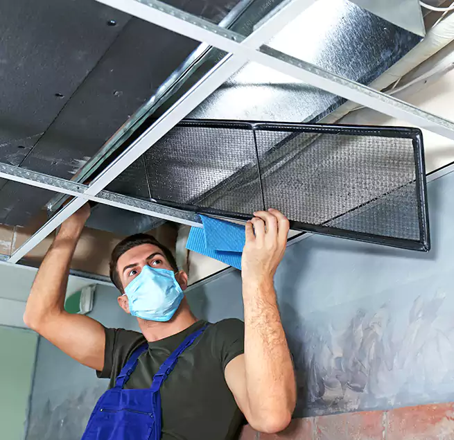 Why Homeowners Businesses Trust Us in Lincolnia, VA